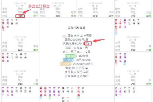 紫薇斗数命主什么意思