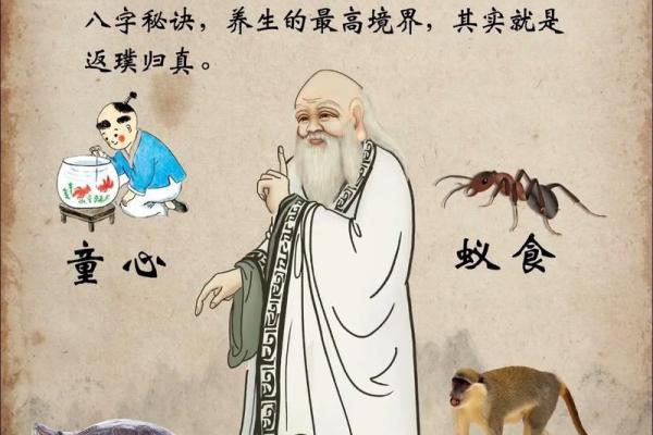八字道教
