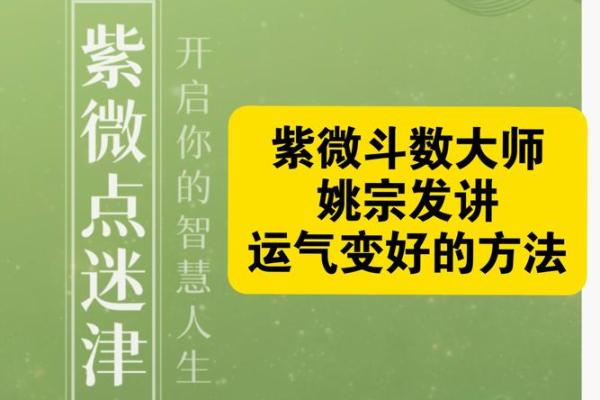灵机紫薇斗数大师