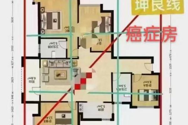 风水的房子_看楼房风水以何为向呢