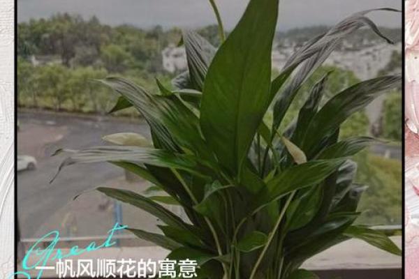 办公不良风水，一帆风顺得讲究
