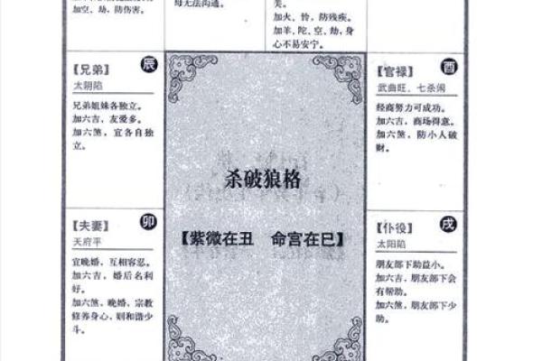 紫薇斗数解释意思