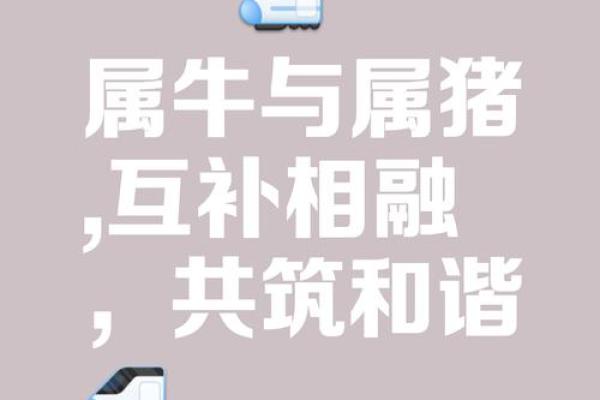 属牛和属牛的适合做夫妻吗 属牛夫妻配对可行吗