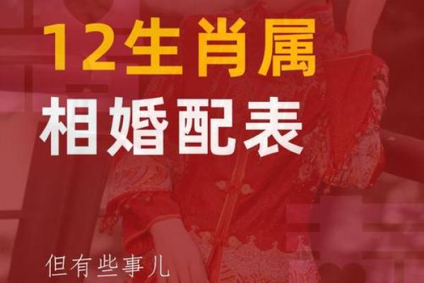 95年属猪女和什么生肖配对最好 什么时候才想要结婚