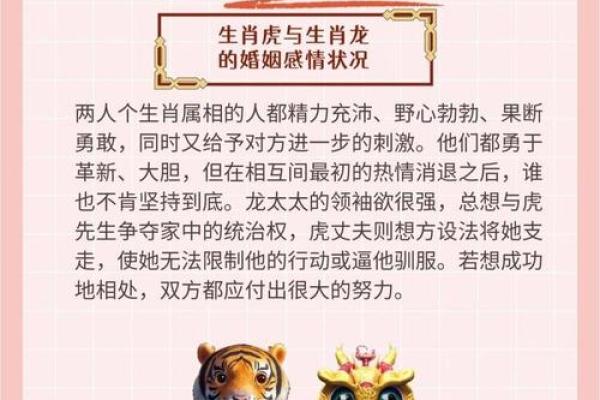 龙生肖配对姻缘 龙生肖配对排名？