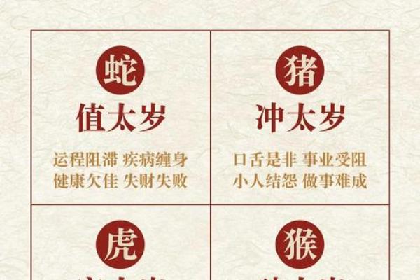 鼠年算命先生准吗