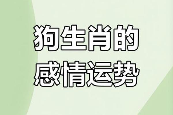 狗跟什么生肖配对最好 生肖狗最佳配对