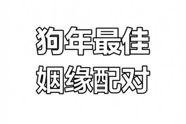 狗跟什么生肖配对最好 生肖狗最佳配对