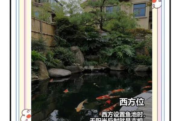 房子脚下建鱼池风水