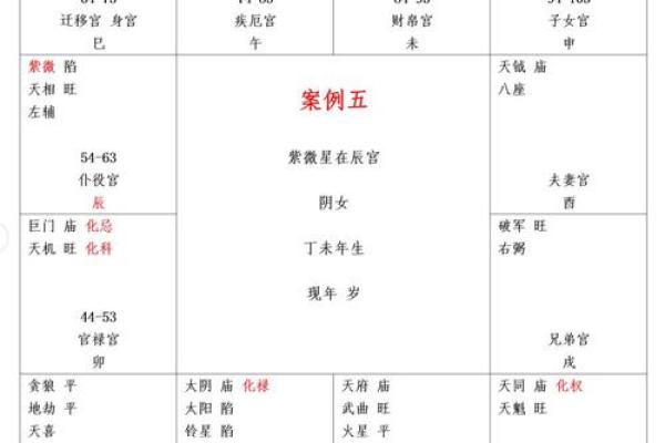 紫薇斗数将星
