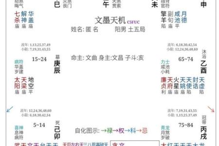 用紫薇斗数怎么判断配偶的个性和身体健康状况？