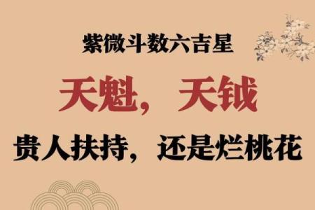 紫薇斗数怎么安天魁