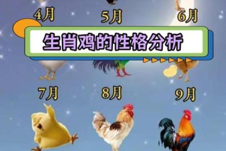 鸡跟什么生肖配对最好 生肖鸡最佳配对