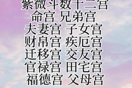 紫薇斗数入门梅花