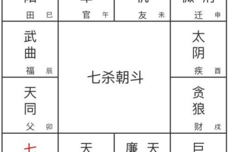 紫薇斗数七杀怕陀螺么