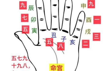 面相算命图解十二宫之：兄弟宫