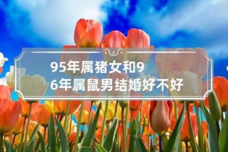 95男猪96女鼠相配吗 配对指数有多高