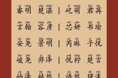 2019年3月28号午时出生的男孩起名方法姓名