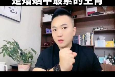 属蛇人配对姻缘