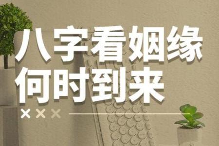 八字测婚姻感情：一个日坐“伤官”的女子，还能迎来好姻缘吗？