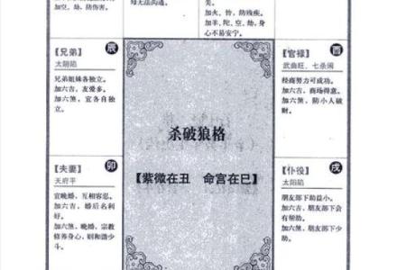 紫薇斗数解释意思