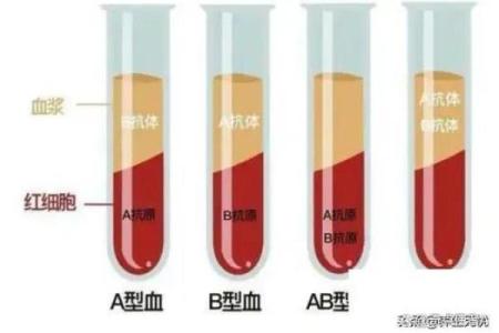 血型与健康有什么关系