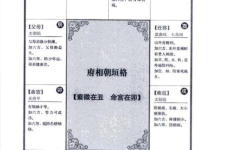 紫薇斗数天罗地网