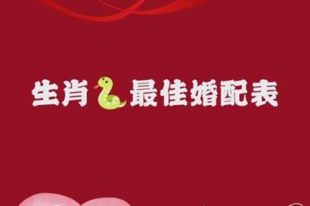 女蛇男兔生肖配对姻缘 属蛇女与属兔男婚姻配对详解