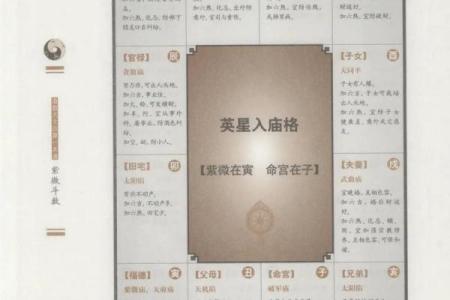 紫薇斗数时辰