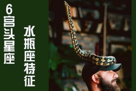 能虐死水瓶的星座