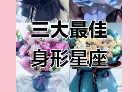 身材最好的五大星座  身材最好的六大星座