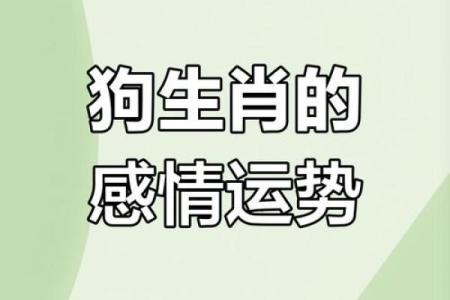 狗跟什么生肖配对最好 生肖狗最佳配对