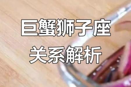 巨蟹男和狮子女怎么相处 巨蟹男和狮子女配对指数分析