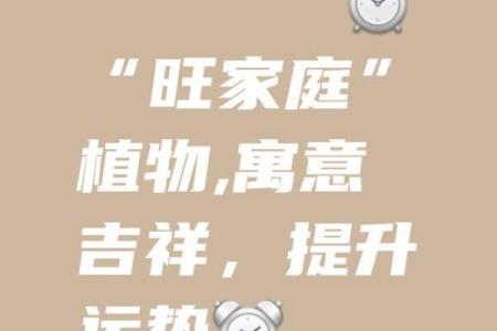 家中这么布置，上上等风水，一辈子钱财无忧！