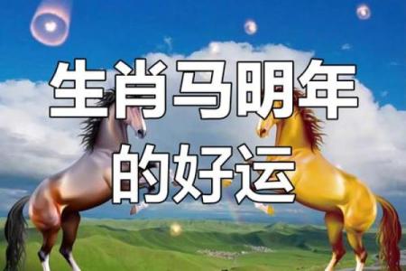 属马出生最好六个吉日 属马的出生吉日