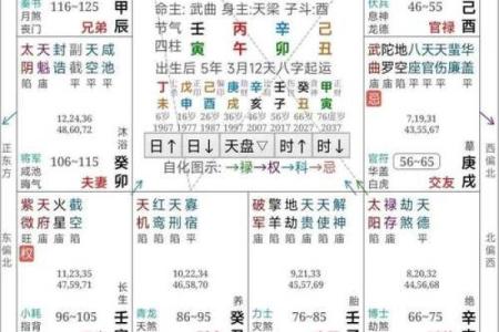 紫薇斗数怎么看大限旺衰