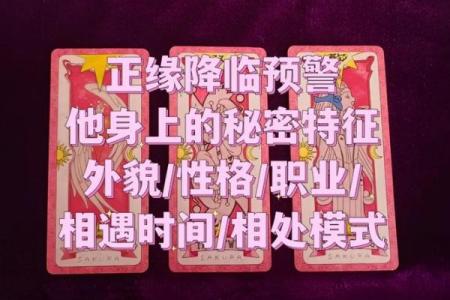 塔罗测试：你会和初恋结婚吗？