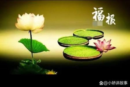 世间最好的风水：家净、人净、心净，福报自来！