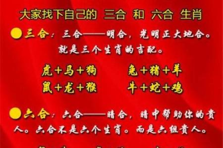 八字看属相