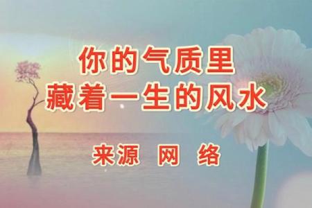 你的“脸”上，藏着你一生的风水