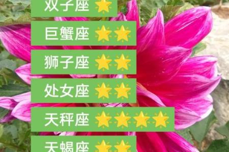 下周运势最好的星座：运势红火的3大星座