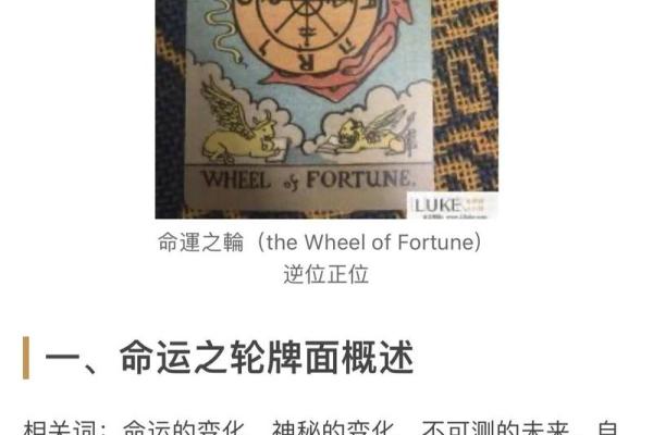 塔罗测试四月考试运