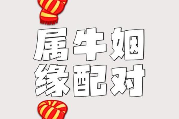 属牛女的婚姻配对更佳属相