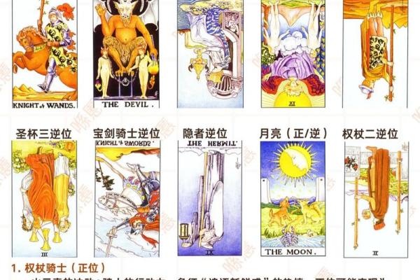 免费塔罗牌占卜星座解析，精准预测生命状况