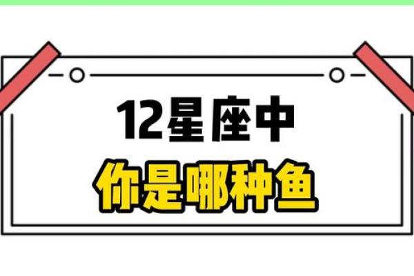 十二星座适合养什么颜色的鱼种