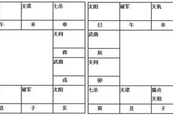 倪海厦紫薇斗数在线排盘