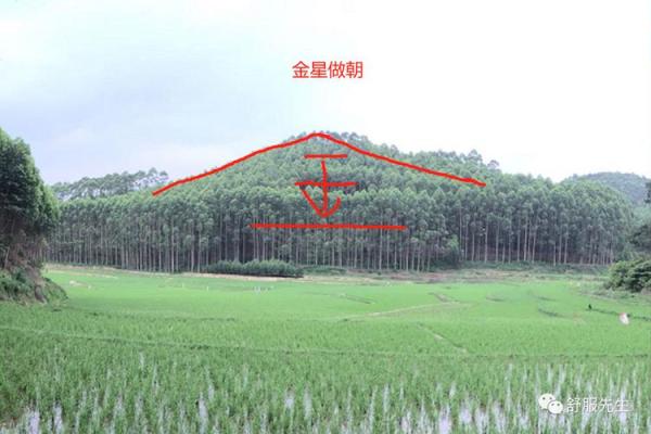 发大财的风水宝地
