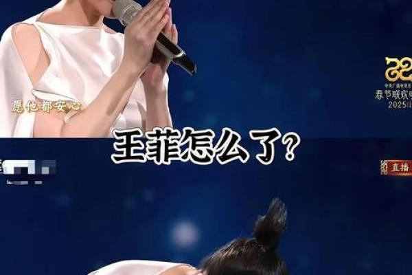 王菲2009八字分析及运势预测