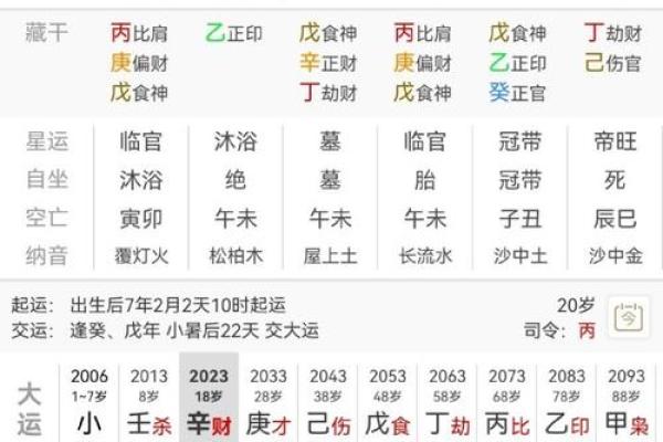 王菲2009八字分析及运势预测