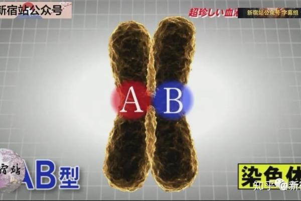 怎样俘获血型女孩的真心